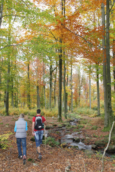 Ostbelgien Wandern Herbst 13(c)ostbelgien.eu