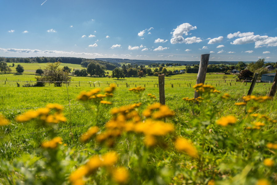 Ostbelgien erstrahlt in Frühlingsfarben. ©ostbelgien.eu/Dominik Ketz