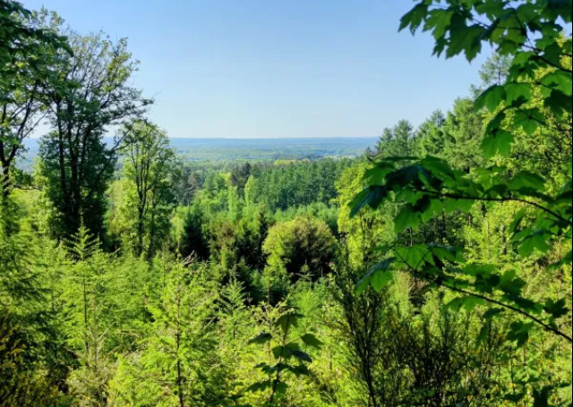 uitzicht-over-bossen-oost-belgie © Stefan Maas