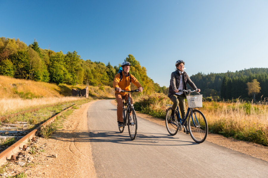 Vennbahn Am Gruenen Kloster 01(c)vennbahn.eu