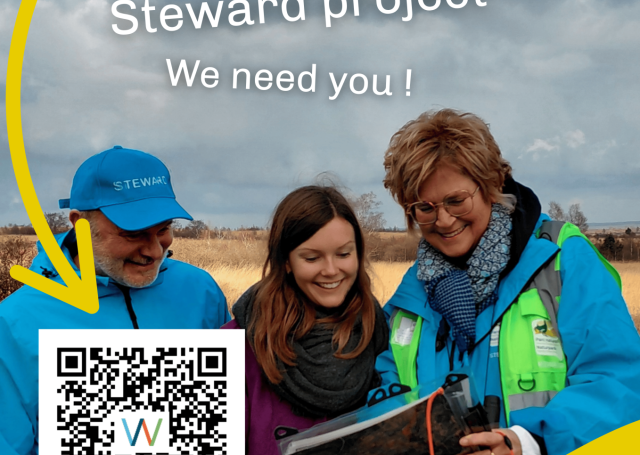 Enquête de satisfaction stewards