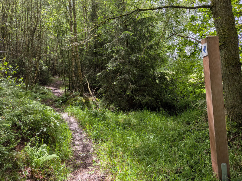 Montenau Trailrunning  (c)ostbelgien.eu