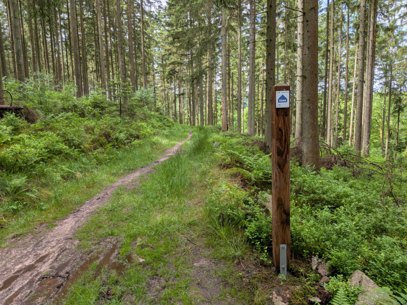 Montenau Trailrunning  (c)ostbelgien.eu