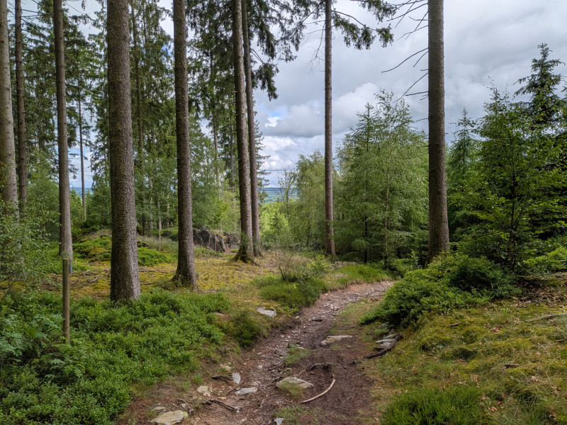 Montenau Trailrunning  (c)ostbelgien.eu