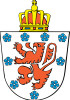 Wappen DG farbig
